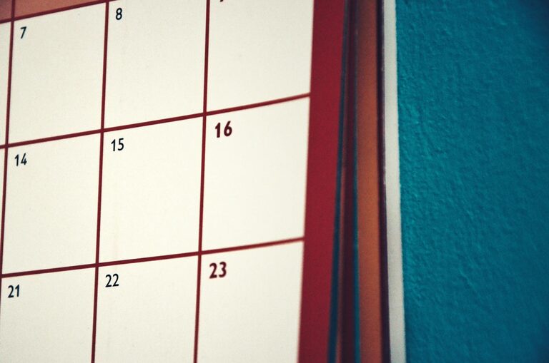 Simple Cleaning Schedule for the Whole Week to Keep Your Home Tidy
